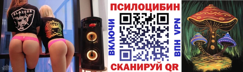 блэк спрут tor  Кадников  Псилоцибиновые грибы Magic Shrooms 